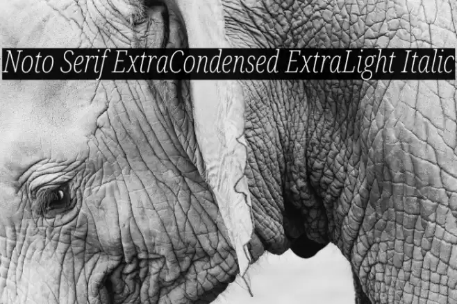 Noto Serif ExtraCondensed ExtraLight Italic Font examples
