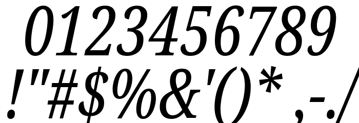 Noto Serif ExtraCondensed Italic Font OTHER CHARS