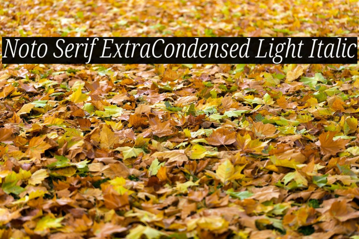 Noto Serif ExtraCondensed Light Italic Font examples