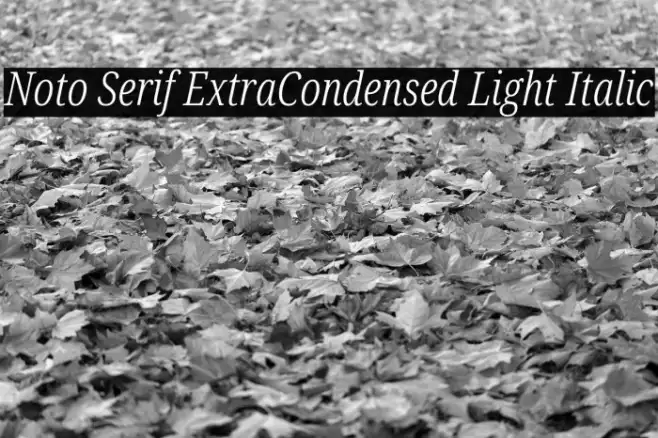 Noto Serif ExtraCondensed Light Italic Example 1