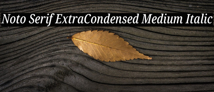 Noto Serif ExtraCondensed Medium Italic Font examples