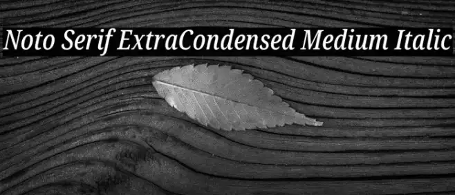 Noto Serif ExtraCondensed Medium Italic Example 2