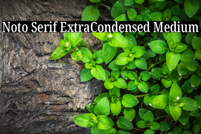 Noto Serif ExtraCondensed Medium Example 3