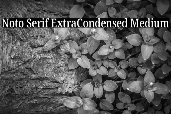 Noto Serif ExtraCondensed Medium Font examples