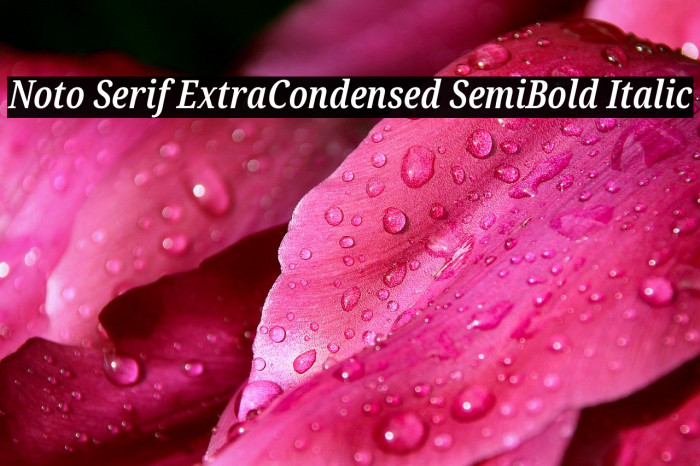 Noto Serif ExtraCondensed SemiBold Italic Font examples