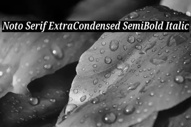 Noto Serif ExtraCondensed SemiBold Italic Example 1