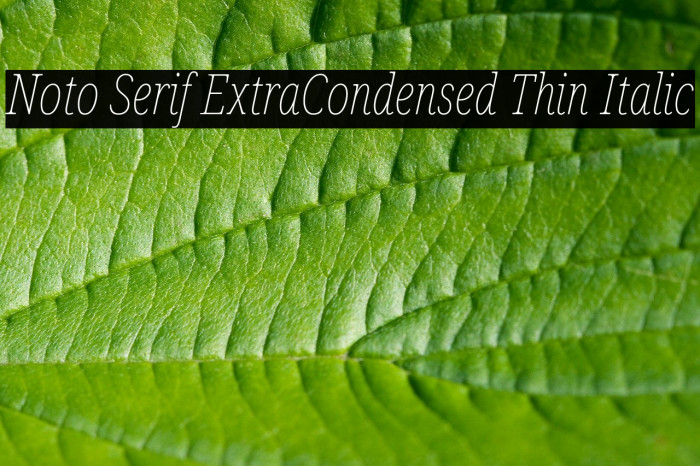 Noto Serif ExtraCondensed Thin Italic Font examples