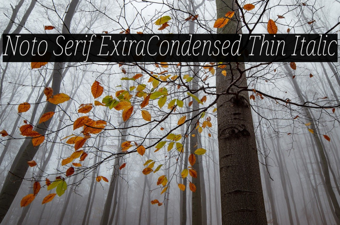 Noto Serif ExtraCondensed Thin Italic Font examples