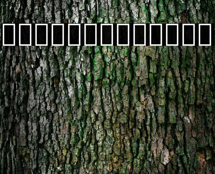 Noto Serif Georgian Condensed Bold Example 2