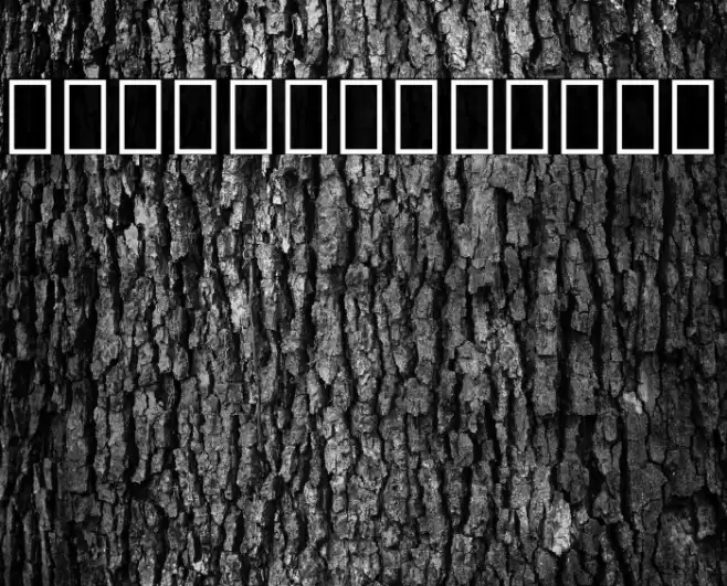 Noto Serif Georgian Condensed Bold Font examples