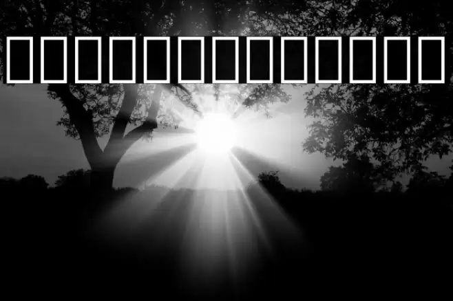 Noto Serif Georgian Condensed SemiBold Font examples