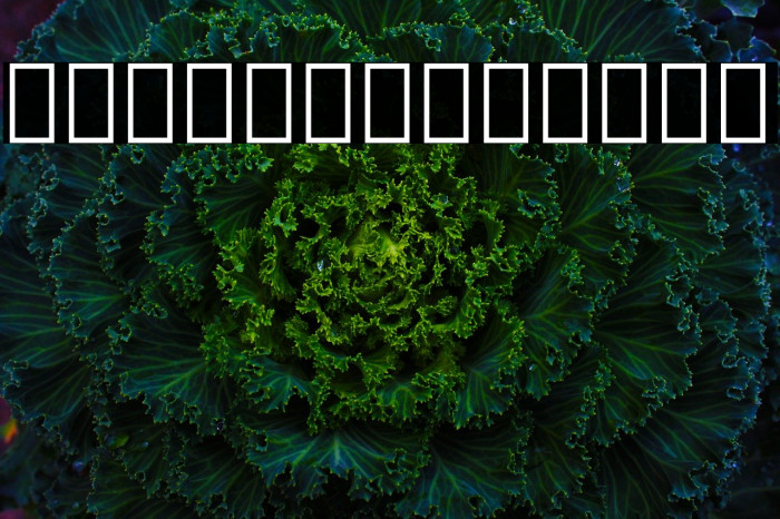 Noto Serif Georgian SemiCondensed ExtraLight Example 2