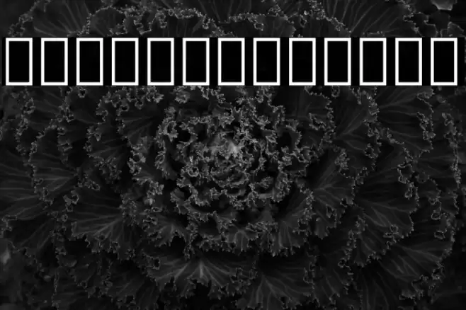 Noto Serif Georgian SemiCondensed ExtraLight Font examples