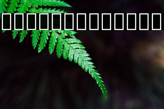 Noto Serif Georgian SemiCondensed Example 2