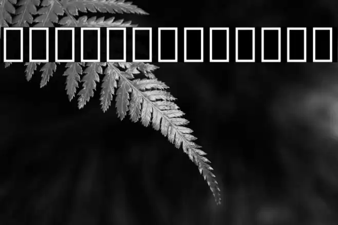 Noto Serif Georgian SemiCondensed Font examples