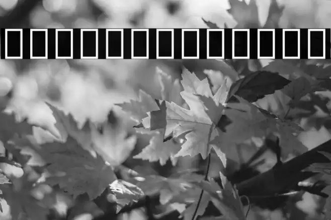 Noto Serif Hebrew Condensed Black Font examples