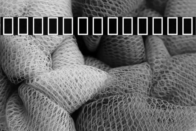 Noto Serif Hebrew Condensed ExtraLight Font examples