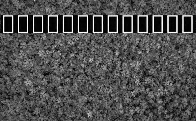 Noto Serif Hebrew Condensed Light Example 2