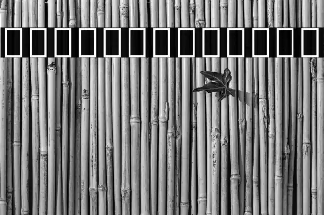 Noto Serif Hebrew Condensed SemiBold Font examples