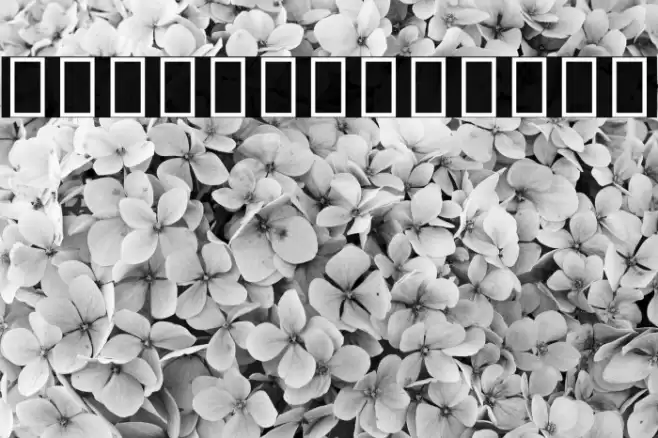 Noto Serif Hebrew SemiCondensed Bold Font examples