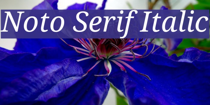 Noto Serif Italic Font examples