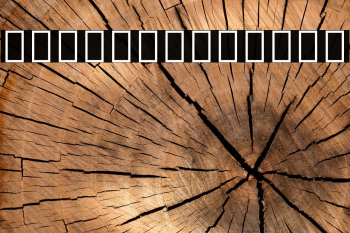 Noto Serif Kannada Example 3