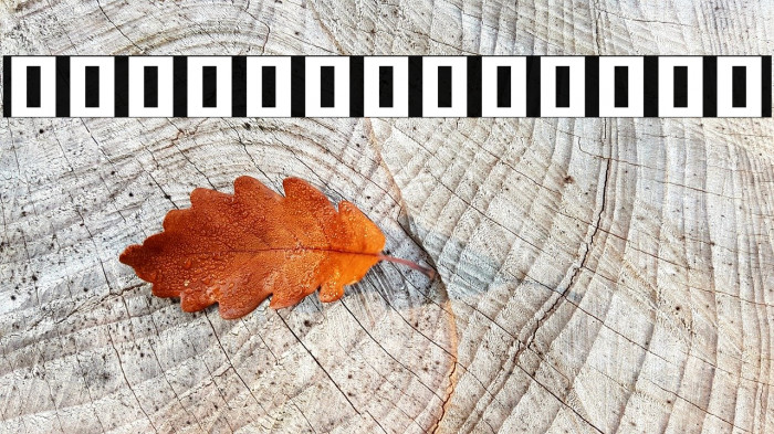 Noto Serif Khmer Black Example 2