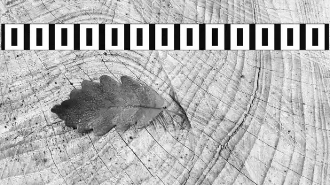 Noto Serif Khmer Black Font examples