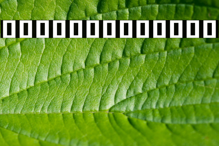 Noto Serif Khmer Condensed ExtraBold Font examples