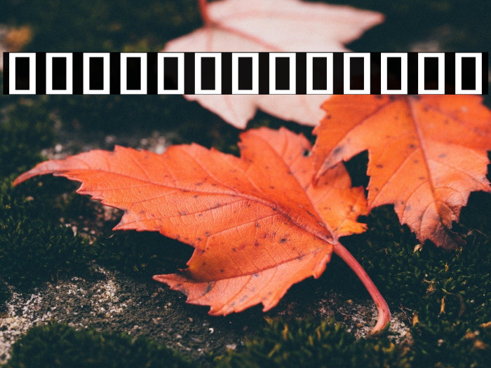 Noto Serif Khmer Condensed Medium Example 2