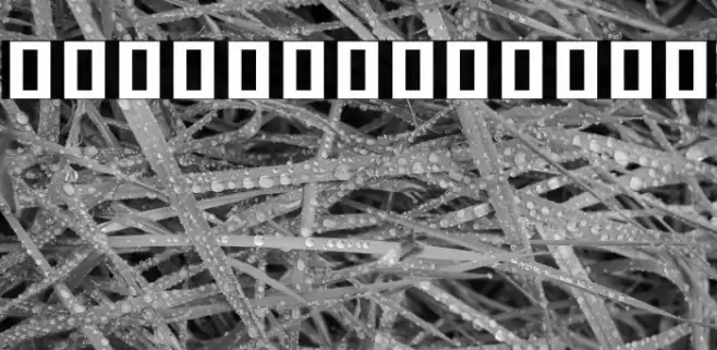 Noto Serif Khmer ExtraBold Font examples