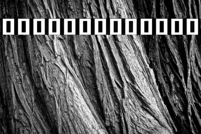 Noto Serif Khmer ExtraBold Font examples