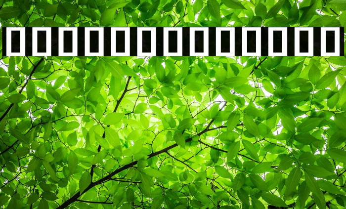 Noto Serif Khmer SemiBold Example 2