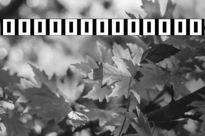 Noto Serif Khmer SemiCondensed Black Font examples