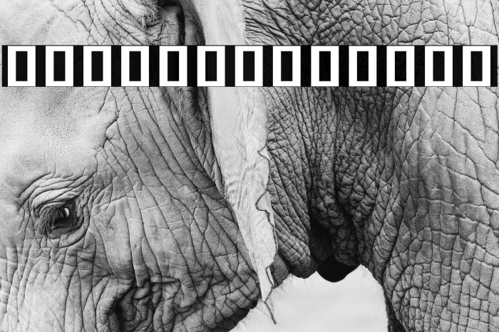 Noto Serif Khmer SemiCondensed Bold Font examples