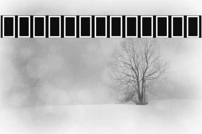 Noto Serif Lao Bold Font examples