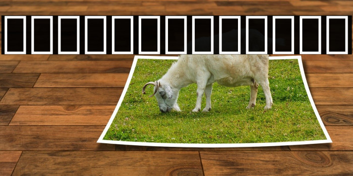 Noto Serif Lao Condensed Black Example 2