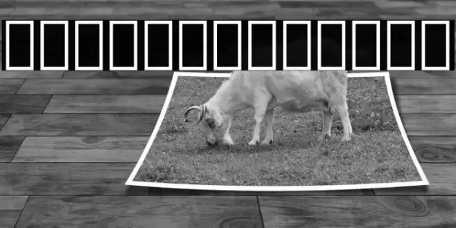 Noto Serif Lao Condensed Black Font examples