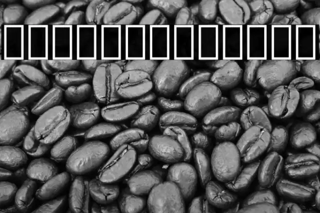 Noto Serif Lao Condensed Black Font examples