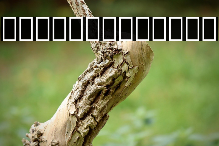 Noto Serif Lao ExtraCondensed Bold Example 1