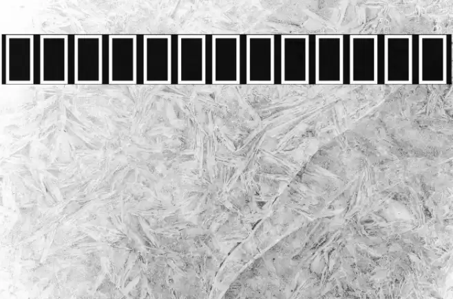 Noto Serif Lao ExtraCondensed Bold Font examples