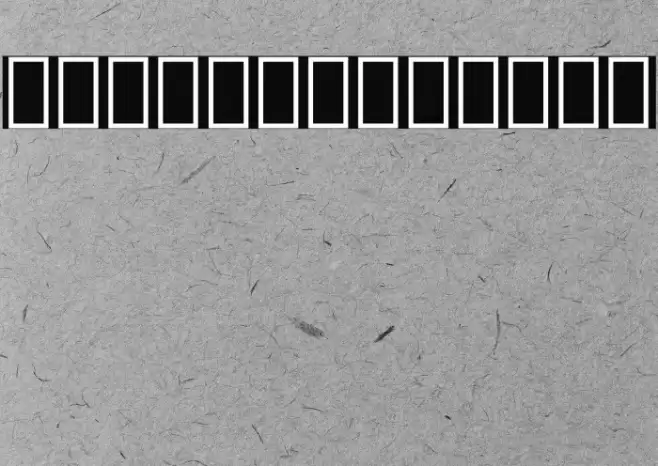 Noto Serif Lao ExtraCondensed Bold Font examples