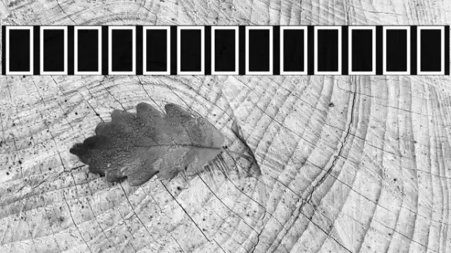 Noto Serif Lao ExtraCondensed Light Font examples