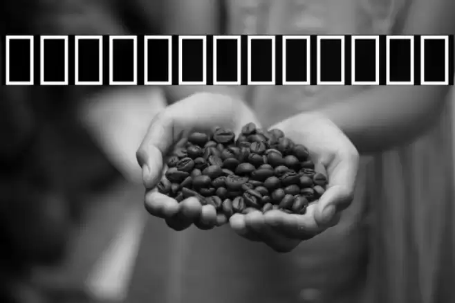 Noto Serif Lao SemiCondensed Black Font examples