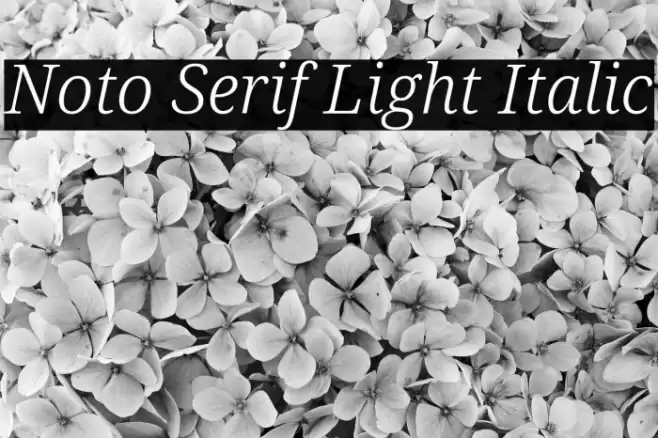 Noto Serif Light Italic Font examples