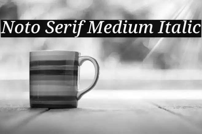 Noto Serif Medium Italic Example 2