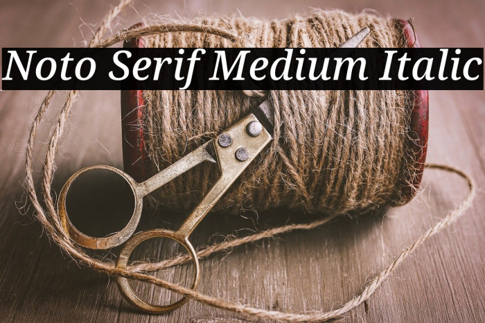 Noto Serif Medium Italic Font examples