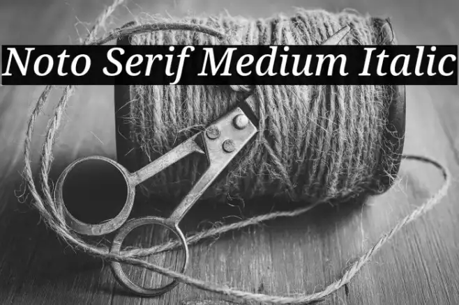 Noto Serif Medium Italic Example 3