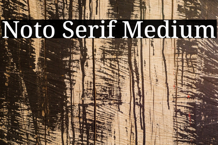 Noto Serif Medium Font examples