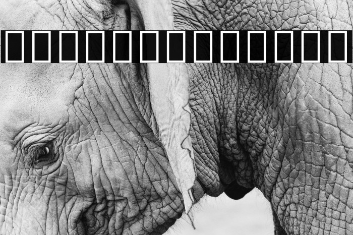 Noto Serif Myanmar Condensed Black Font examples